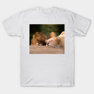 Sleeping lions T-Shirt